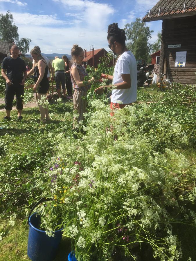 Mora Vandrarhem Och Gaesthem Vinäs Buitenkant foto